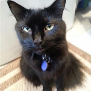 Meet your Posher, Erika